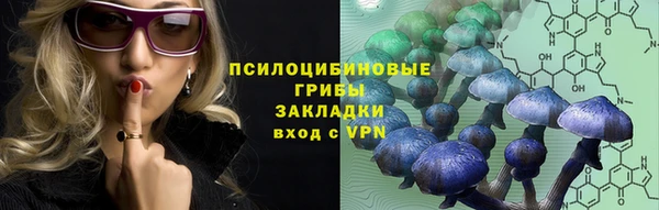молекула духа Нязепетровск