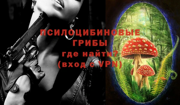 молекула духа Нязепетровск