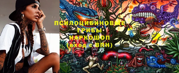 молекула духа Нязепетровск