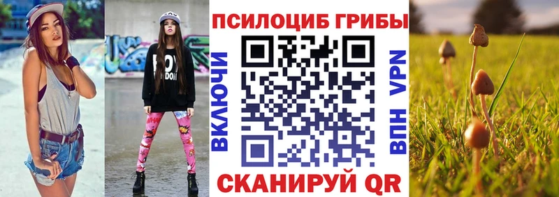 OMG зеркало  купить наркотик  Истра  Галлюциногенные грибы мицелий 