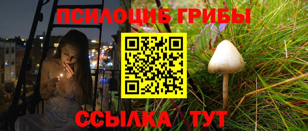 купить наркотик  Галлюциногенные грибы Magic Shrooms  Вход с VPN  Истра 